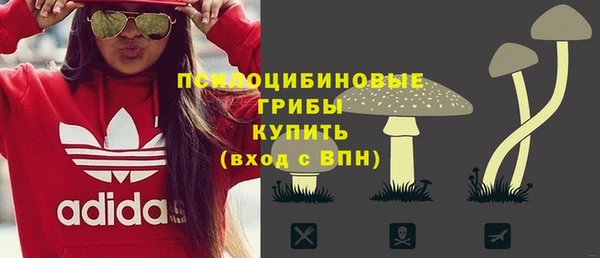 индика Армянск
