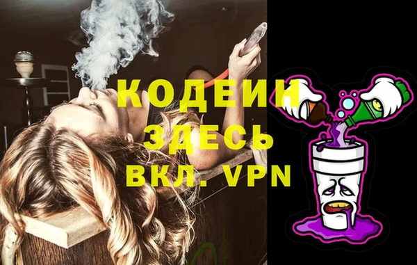 индика Армянск