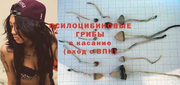 гидропоника Арсеньев